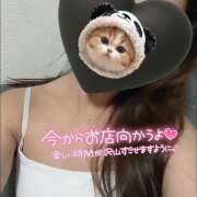 ヒメ日記 2025/09/22 15:16 投稿 あさみ 池袋 大奥