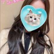 ヒメ日記 2025/12/19 12:41 投稿 あさみ 池袋 大奥