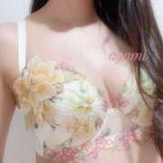 絢心／あやみ 12月の出勤について 大宮人妻セレブリティ（ユメオト）