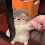 ヒメ日記 2026/02/27 14:46 投稿 もも 君とふわふわプリンセスin熊谷