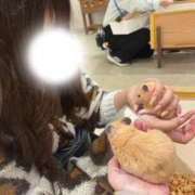 ヒメ日記 2026/03/14 09:30 投稿 もも 君とふわふわプリンセスin熊谷