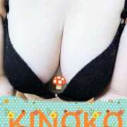 ヒメ日記 2025/04/08 13:38 投稿 きのこ 熟女家 堺東店