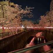 ヒメ日記 2025/04/11 19:20 投稿 みひろ レモンカフェ