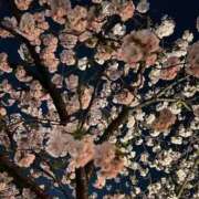 ヒメ日記 2025/04/14 20:15 投稿 柚月　しゅり YUDEN〜油殿〜谷九・日本橋店