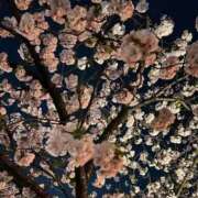 ヒメ日記 2025/04/14 20:23 投稿 柚月　しゅり YUDEN〜油殿〜谷九・日本橋店