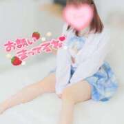 ヒメ日記 2025/02/26 20:24 投稿 いくら チューリップ福井別館