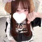 ヒメ日記 2025/11/12 13:08 投稿 いくら チューリップ福井別館