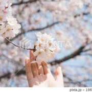 ヒメ日記 2025/04/09 10:08 投稿 れい 沼津人妻花壇