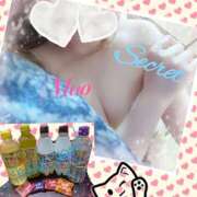 ヒメ日記 2025/05/26 15:46 投稿 まお 館山secret