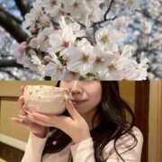 ヒメ日記 2026/04/01 19:01 投稿 まりあ X-PARTY