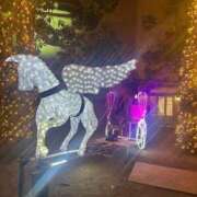 ヒメ日記 2024/12/23 15:53 投稿 りほ 素人系イメージSOAP彼女感大宮館