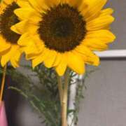 ヒメ日記 2025/08/29 23:39 投稿 りほ 素人系イメージSOAP彼女感大宮館