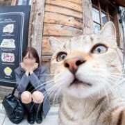 ヒメ日記 2025/11/11 18:31 投稿 りほ 素人系イメージSOAP彼女感大宮館