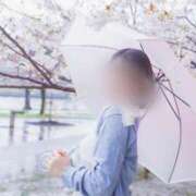 ヒメ日記 2026/03/01 20:01 投稿 りほ 素人系イメージSOAP彼女感大宮館