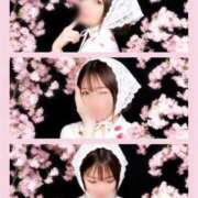 ヒメ日記 2026/03/23 21:02 投稿 りほ 素人系イメージSOAP彼女感大宮館