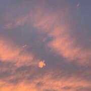 ヒメ日記 2026/04/05 22:22 投稿 りほ 素人系イメージSOAP彼女感大宮館