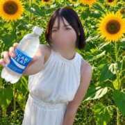 ヒメ日記 2026/08/09 09:03 投稿 りほ 素人系イメージSOAP彼女感大宮館