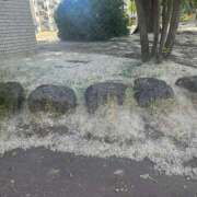 ヒメ日記 2025/06/14 18:31 投稿 るな【新人割引期間中】 クリスタル