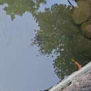 ヒメ日記 2025/06/18 18:46 投稿 るな【新人割引期間中】 クリスタル