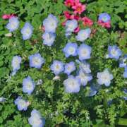 ヒメ日記 2025/06/21 23:26 投稿 るな【新人割引期間中】 クリスタル