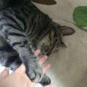 ヒメ日記 2025/03/26 20:29 投稿 収容番号：80番 非自由人躾専門店 淫姦収容所 日本橋本拠地