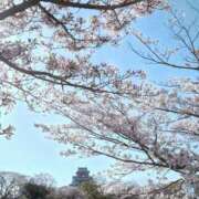 ヒメ日記 2026/04/10 18:49 投稿 収容番号：80番 非自由人躾専門店 淫姦収容所 日本橋本拠地