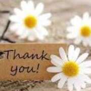 ヒメ日記 2025/09/30 16:20 投稿 七海ひろこ 五十路マダム 新潟店(カサブランカグループ)