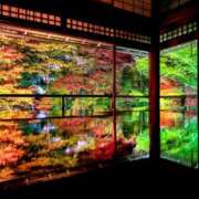 ヒメ日記 2024/12/16 18:31 投稿 るみ 熟女SPA