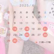 ヒメ日記 2025/06/15 18:16 投稿 響【ロッサ最高峰SSS級美女】 Club Rosa