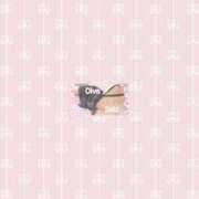 ヒメ日記 2026/06/07 00:15 投稿 咲妃(さき) DIVA-ディーバ-【DIVAグループ】
