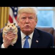 ヒメ日記 2025/02/23 13:13 投稿 乱(らん) 姫路性感人妻エステ　アロマージュ