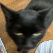 ヒメ日記 2025/03/06 12:23 投稿 乱(らん) 姫路性感人妻エステ　アロマージュ