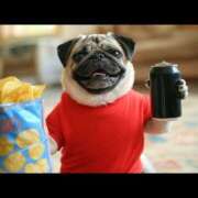 ヒメ日記 2025/03/08 05:13 投稿 乱(らん) 姫路性感人妻エステ　アロマージュ