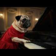 ヒメ日記 2025/03/09 05:53 投稿 乱(らん) 姫路性感人妻エステ　アロマージュ