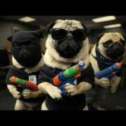 ヒメ日記 2025/03/25 06:51 投稿 乱(らん) 姫路性感人妻エステ　アロマージュ