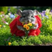 ヒメ日記 2025/04/02 06:01 投稿 乱(らん) 姫路性感人妻エステ　アロマージュ