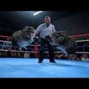 ヒメ日記 2025/04/18 05:51 投稿 乱(らん) 姫路性感人妻エステ　アロマージュ