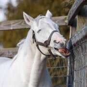 ヒメ日記 2025/04/22 05:51 投稿 乱(らん) メンエスじゃ物足りない方の専門店！Deep