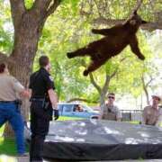 ヒメ日記 2025/04/27 05:41 投稿 乱(らん) 姫路性感人妻エステ　アロマージュ