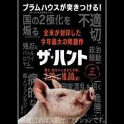 ヒメ日記 2025/05/11 06:01 投稿 乱(らん) 姫路性感人妻エステ　アロマージュ