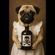 ヒメ日記 2025/05/12 06:11 投稿 乱(らん) 姫路性感人妻エステ　アロマージュ