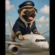 ヒメ日記 2025/05/25 06:21 投稿 乱(らん) 姫路性感人妻エステ　アロマージュ