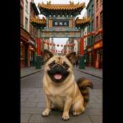 ヒメ日記 2025/07/02 06:21 投稿 乱(らん) 姫路性感人妻エステ　アロマージュ