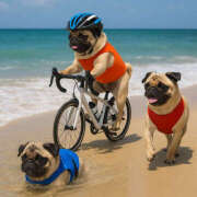 ヒメ日記 2025/07/20 05:21 投稿 乱(らん) 姫路性感人妻エステ　アロマージュ