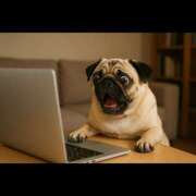 ヒメ日記 2025/09/04 14:21 投稿 乱(らん) 姫路性感人妻エステ　アロマージュ