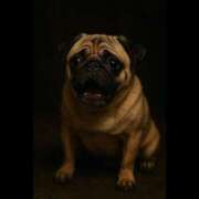 ヒメ日記 2025/09/19 05:31 投稿 乱(らん) 姫路性感人妻エステ　アロマージュ