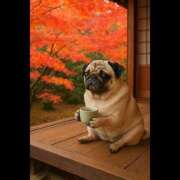 乱(らん) さて…そろそろ行こうぜ！！！ 姫路性感人妻エステ　アロマージュ