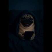 乱(らん) ひっさしぶりに10時間寝た。 姫路性感人妻エステ　アロマージュ