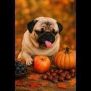 ヒメ日記 2025/11/23 19:02 投稿 乱(らん) 姫路性感人妻エステ　アロマージュ