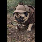 ヒメ日記 2026/01/31 23:31 投稿 乱(らん) メンエスじゃ物足りない方の専門店！Deep